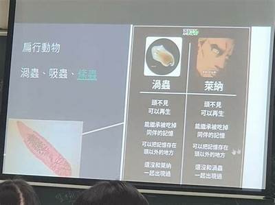 森下先生的好色口腔：探索口腔健康的创新与趣味