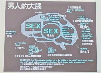 好色先生日本：揭秘特有文化特征