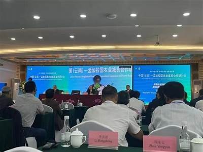 欧美地区电影免费在线观看，高清体验尽在掌握
