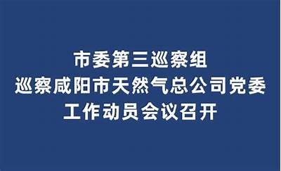 精品久久人人做人人爽综合视频