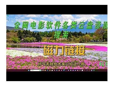 彻底解析Yellow资源大全，带你畅游精彩内容与实用信息