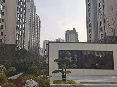 国产精品视频免费在线观看