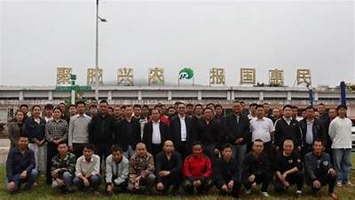 好色先生TV：欣赏美女的视觉盛宴