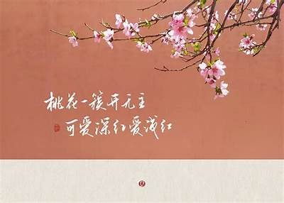 桃花盛开的季节：欣赏春日美景与浪漫意义