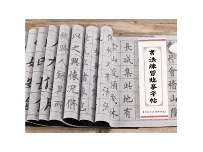 提升书法水平的成人练字视频教程APP，让你轻松掌握写字技巧
