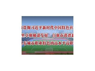 海角社区官方官网登录入口 - 快速访问