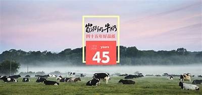 国产成人在线观看免费视频