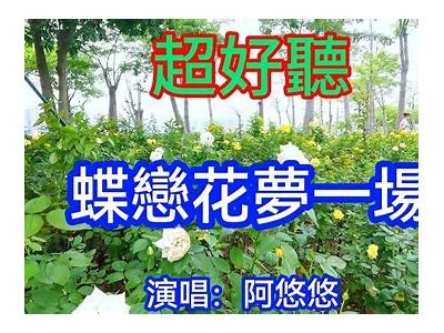 蝶恋直播：精彩内容任何时候在线看，尽享直播乐趣