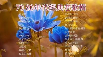 70岁老太太的BGM人生故事