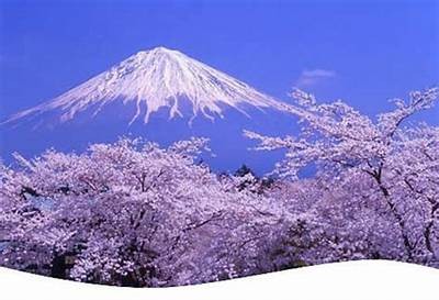 欧洲亚洲日本韩国旅游攻略
