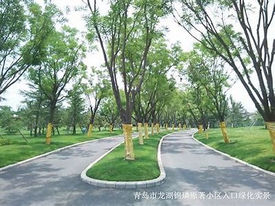国产精品线拍大陆尤物久久视频