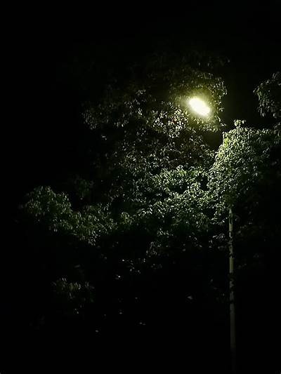 春雨直播免费视频全集在线观看，尽享精彩直播体验