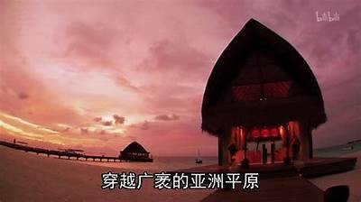 亚洲男人天堂：优质生活指南