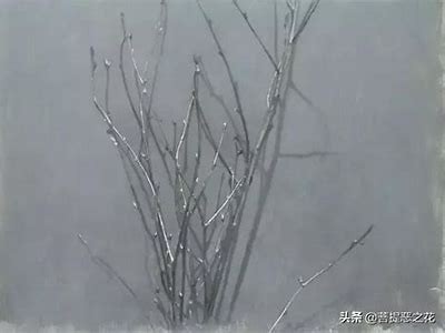 骚狐：魅惑与智慧的完美结合