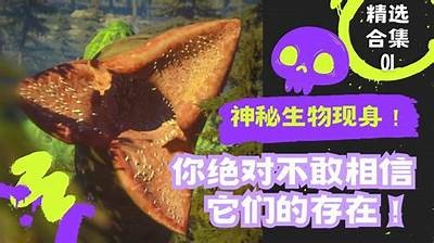 妖精视频：揭秘神秘生物的奇幻世界