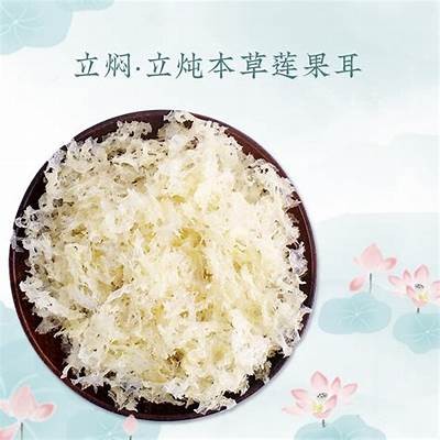 中文字幕一本道无码高清视频