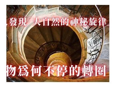 妖精视频：神秘生物的奇幻世界