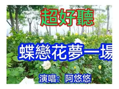 蝶恋直播：畅享精彩互动与美丽瞬间的视听盛宴