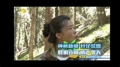 免费观看中国精彩视频，畅享高清在线视频体验【官方推荐】