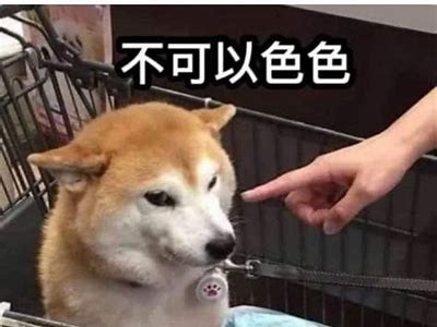 色多多成视频：探索色彩世界的奥秘