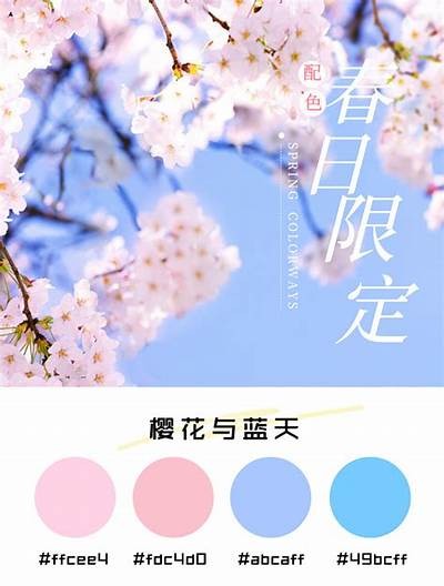 “探索中国成人魅力视频，带你领略多姿多彩的成人文化”