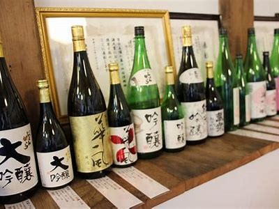 日本综合信息指南：探索文化、旅游、美食与生活方式的完美结合