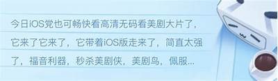 在线观看无码视频 - 高清无广告