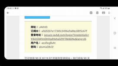 免费高清A片视频在线观看