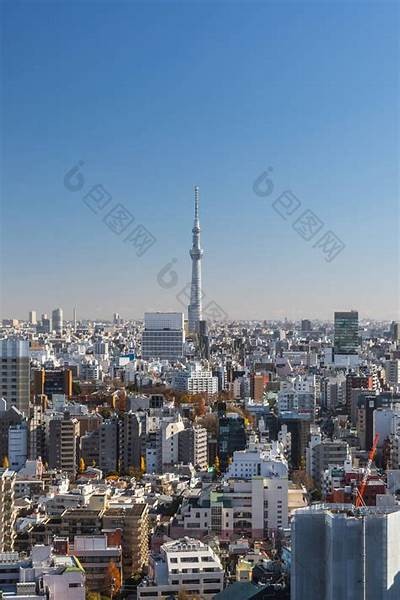 东京不太热：探寻这座城市的特有魅力与文化精髓
