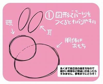 成人兔子绘画教程视频免费观看