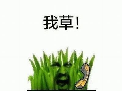草的好爽的网站：体验极致的绿色空间