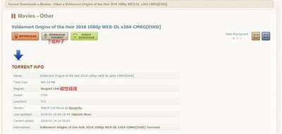 在线BT资源下载，快速获取您想要的资源