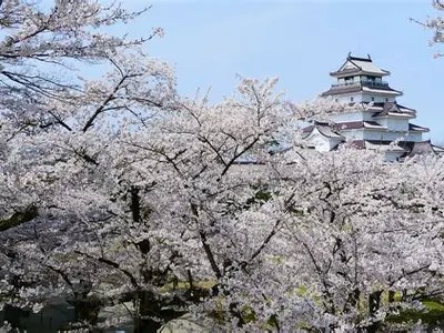 日本岬的自然风光与人文历史探索