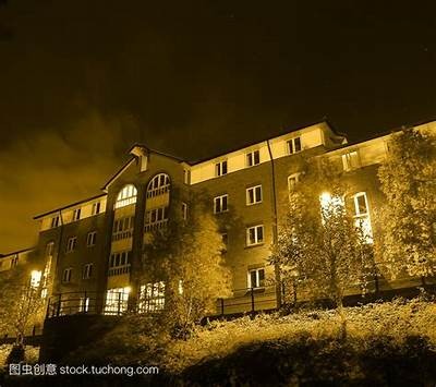 午夜性生大片免费在线观看