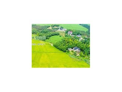 好色先生 TV 小黄蜂下载：轻松获取精彩资源