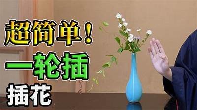 成人插花技巧视频在线观看