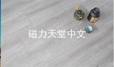 独家分享bt天堂网在线资源下载平台，海量资源一站式获取！