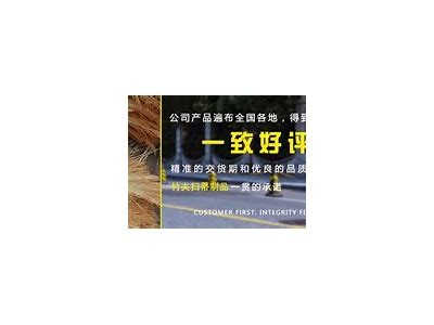 亚洲AV每日更新在线观看