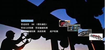 探索妖精成人APP：便捷视频体验与精彩内容分享