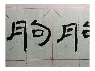 海伦成人练字视频在线观看教程