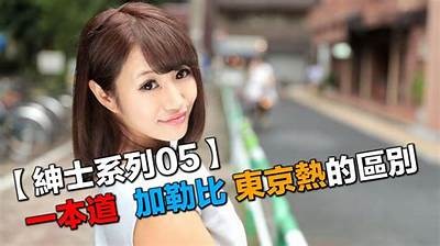 东京热无码一本大道精选集