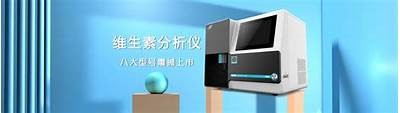 午夜成人快插视频：激情与欲望的碰撞，释放你的内心