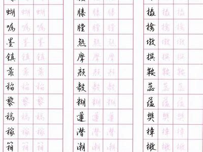成人练字技巧视频教程：轻松提升书写水平的完整指南