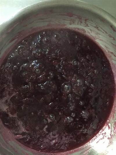 揭秘好色先生的果酱制作过程，香甜诱人难抵挡